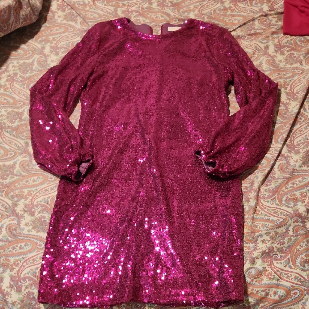Pink Lily Sparkling Sequin Mini Dress in Fuchsia
